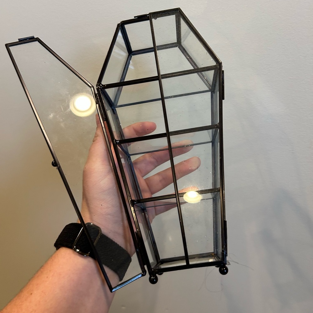 Black Glass Coffin Terrarium Display Case both Doors open